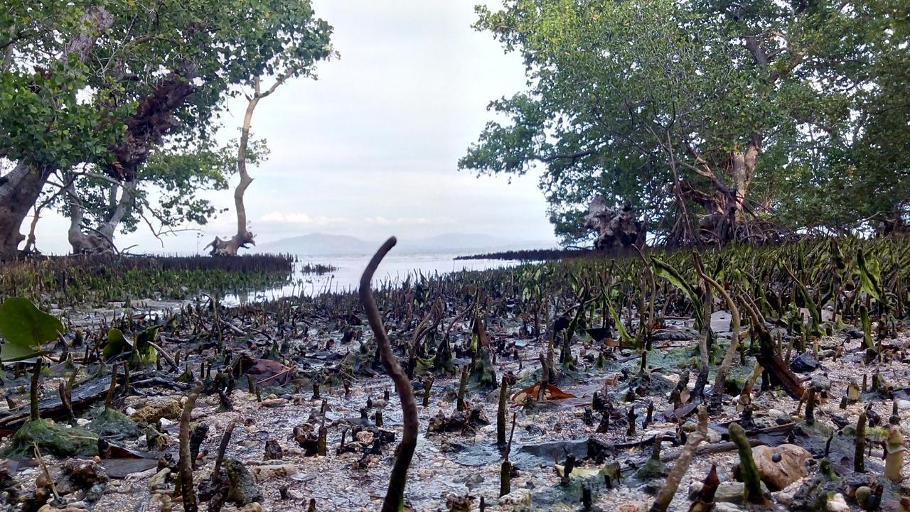 Jonaths Cottage Bunaken Kültér fotó